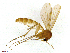  ( - TROM-SPM-001844)  @11 [ ] CreativeCommons - Attribution Non-Commercial Share-Alike (2015) Unspecified Tromso University Museum