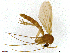  ( - TROM-SPM-007690)  @11 [ ] CreativeCommons - Attribution Non-Commercial Share-Alike (2015) Unspecified Tromso University Museum