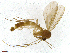  ( - TROM-SPM-012771)  @11 [ ] CreativeCommons - Attribution Non-Commercial Share-Alike (2015) Unspecified Tromso University Museum