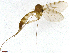  ( - TROM-SPM-034199)  @11 [ ] CreativeCommons - Attribution Non-Commercial Share-Alike (2015) Unspecified Tromso University Museum