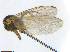  ( - TROM-TSZD-JKJ-100001)  @11 [ ] CreativeCommons - Attribution Non-Commercial Share-Alike (2014) Unspecified Tromso University Museum