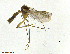  ( - TROM-TSZD-JKJ-100342)  @11 [ ] CreativeCommons - Attribution Non-Commercial Share-Alike (2014) Unspecified Tromso University Museum