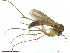  ( - TROM-TSZD-JKJ-100530)  @11 [ ] CreativeCommons - Attribution Non-Commercial Share-Alike (2014) Unspecified Tromso University Museum