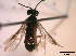  ( - TROM-TSZX-22894)  @12 [ ] CreativeCommons - Attribution Non-Commercial Share-Alike (2015) Unspecified Tromso University Museum