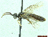  ( - TROM-TSZX-22906)  @12 [ ] CreativeCommons - Attribution Non-Commercial Share-Alike (2014) Unspecified Tromso University Museum