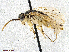  ( - TROM-TSZX-22909)  @11 [ ] CreativeCommons - Attribution Non-Commercial Share-Alike (2014) Unspecified Tromso University Museum