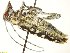  ( - TSZC_22947)  @12 [ ] CreativeCommons - Attribution Non-Commercial Share-Alike (2015) Unspecified Tromso University Museum