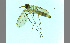  ( - TSZD-JKJ-100170)  @12 [ ] CreativeCommons - Attribution Non-Commercial Share-Alike (2014) Unspecified Tromso University Museum