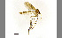  ( - TSZD-JKJ-100174)  @11 [ ] CreativeCommons - Attribution Non-Commercial Share-Alike (2014) Unspecified Tromso University Museum