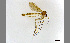  ( - TSZD-JKJ-100174)  @11 [ ] CreativeCommons - Attribution Non-Commercial Share-Alike (2014) Unspecified Tromso University Museum