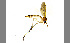  ( - TSZD-JKJ-100413)  @14 [ ] CreativeCommons - Attribution Non-Commercial Share-Alike (2014) Unspecified Tromso University Museum