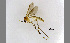  ( - TSZD-JKJ-100414)  @14 [ ] CreativeCommons - Attribution Non-Commercial Share-Alike (2014) Unspecified Tromso University Museum
