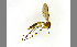  ( - TSZD-JKJ-100428)  @11 [ ] CreativeCommons - Attribution Non-Commercial Share-Alike (2014) Unspecified Tromso University Museum