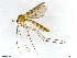  ( - TROM-TSZD-JKJ-100461)  @11 [ ] CreativeCommons - Attribution Non-Commercial Share-Alike (2015) Unspecified Tromso University Museum
