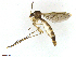  ( - TROM-TSZD-JKJ-100465)  @13 [ ] CreativeCommons - Attribution Non-Commercial Share-Alike (2015) Unspecified Tromso University Museum
