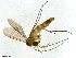 ( - TROM-TSZD-JKJ-100475)  @13 [ ] CreativeCommons - Attribution Non-Commercial Share-Alike (2015) Unspecified Tromso University Museum