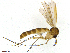  ( - TROM-TSZD-JKJ-100478)  @13 [ ] CreativeCommons - Attribution Non-Commercial Share-Alike (2015) Unspecified Tromso University Museum
