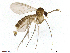  ( - TROM-TSZD-JKJ-100488)  @11 [ ] CreativeCommons - Attribution Non-Commercial Share-Alike (2015) Unspecified Tromso University Museum