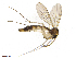  ( - TROM-TSZD-JKJ-100493)  @13 [ ] CreativeCommons - Attribution Non-Commercial Share-Alike (2015) Unspecified Tromso University Museum