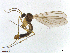  (Coelosia - TROM-TSZD-JKJ-100502)  @14 [ ] CreativeCommons - Attribution Non-Commercial Share-Alike (2015) Unspecified Tromso University Museum