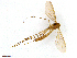  ( - TROM-TSZD-JKJ-100519)  @12 [ ] CreativeCommons - Attribution Non-Commercial Share-Alike (2015) Unspecified Tromso University Museum
