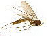  ( - TROM-TSZD-JKJ-100520)  @11 [ ] CreativeCommons - Attribution Non-Commercial Share-Alike (2015) Unspecified Tromso University Museum