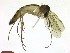  ( - TROM_TSZD-JKJ-100697)  @11 [ ] CreativeCommons - Attribution Non-Commercial Share-Alike (2015) Jostein Kjaerandsen Tromso University Museum