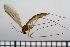  ( - TROM_TSZD-JKJ-100735)  @13 [ ] CreativeCommons - Attribution Non-Commercial Share-Alike (2015) Jostein Kjaerandsen Tromso University Museum