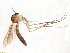  ( - TSZD-JKJ-100766)  @11 [ ] CreativeCommons - Attribution Non-Commercial Share-Alike (2015) Unspecified Tromso University Museum