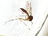  ( - TSZD-JKJ-100771)  @12 [ ] CreativeCommons - Attribution Non-Commercial Share-Alike (2015) Unspecified Tromso University Museum