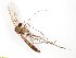  ( - TSZD-JKJ-100774)  @11 [ ] CreativeCommons - Attribution Non-Commercial Share-Alike (2015) Unspecified Tromso University Museum