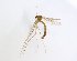  ( - TSZD-JKJ-106937)  @11 [ ] CreativeCommons - Attribution Non-Commercial Share-Alike (2019) Unspecified Tromsø University Museum