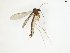  ( - TSZD-JKJ-106938)  @11 [ ] CreativeCommons - Attribution Non-Commercial Share-Alike (2019) Unspecified Tromsø University Museum
