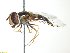  ( - TSZD_26020)  @11 [ ] CreativeCommons - Attribution Non-Commercial Share-Alike (2015) Unspecified Tromso University Museum
