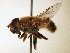  ( - TSZD_26302)  @11 [ ] CreativeCommons - Attribution Non-Commercial Share-Alike (2015) Unspecified Tromso University Museum