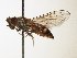  ( - TSZD_26380)  @11 [ ] CreativeCommons - Attribution Non-Commercial Share-Alike (2015) Unspecified Tromso University Museum