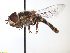  ( - TSZD_26533)  @11 [ ] CreativeCommons - Attribution Non-Commercial Share-Alike (2015) Unspecified Tromso University Museum