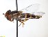  ( - TSZD_26534)  @11 [ ] CreativeCommons - Attribution Non-Commercial Share-Alike (2015) Unspecified Tromso University Museum