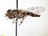 ( - TSZD_26535)  @11 [ ] CreativeCommons - Attribution Non-Commercial Share-Alike (2015) Unspecified Tromso University Museum