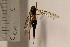  ( - TSZD_26538)  @11 [ ] CreativeCommons - Attribution Non-Commercial Share-Alike (2015) Unspecified Tromso University Museum