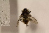  ( - TSZD_26603)  @12 [ ] CreativeCommons - Attribution Non-Commercial Share-Alike (2015) Unspecified Tromso University Museum