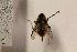  ( - TSZD_26604)  @12 [ ] CreativeCommons - Attribution Non-Commercial Share-Alike (2015) Unspecified Tromso University Museum