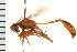  ( - LP00148)  @14 [ ] CreativeCommons - Attribution (2009) Unspecified Centre for Biodiversity Genomics