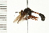  ( - LP00163)  @11 [ ] CreativeCommons - Attribution (2009) Unspecified Centre for Biodiversity Genomics