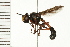  ( - LP00164)  @11 [ ] CreativeCommons - Attribution (2009) Unspecified Centre for Biodiversity Genomics