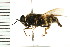  ( - LP00178)  @12 [ ] CreativeCommons - Attribution (2009) Unspecified Centre for Biodiversity Genomics