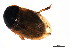  ( - 08BBCOL-0790)  @13 [ ] CreativeCommons - Attribution (2009) Unspecified Centre for Biodiversity Genomics
