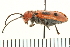  ( - COLP-0120)  @13 [ ] CreativeCommons - Attribution (2009) Unspecified Centre for Biodiversity Genomics