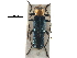  (Lycocerus fainanus - BIOUG28752-H06)  @13 [ ] CreativeCommons - Attribution (2016) CBG Photography Group Centre for Biodiversity Genomics