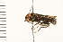  ( - 08SOCOL-0047)  @12 [ ] CreativeCommons - Attribution (2008) Unspecified Centre for Biodiversity Genomics